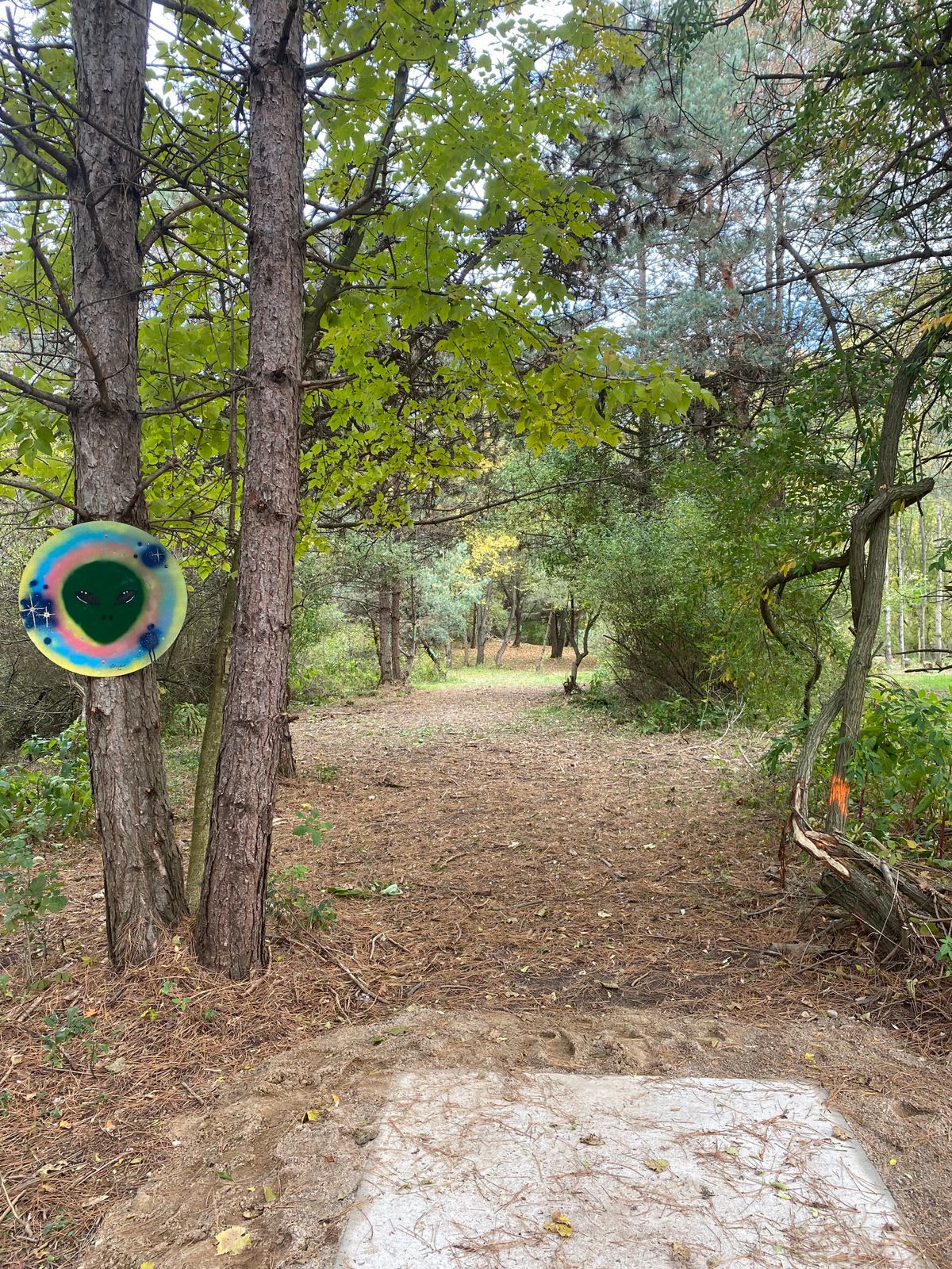 Hole 5 Tee Shot. Basket foreword right