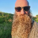 partyviking