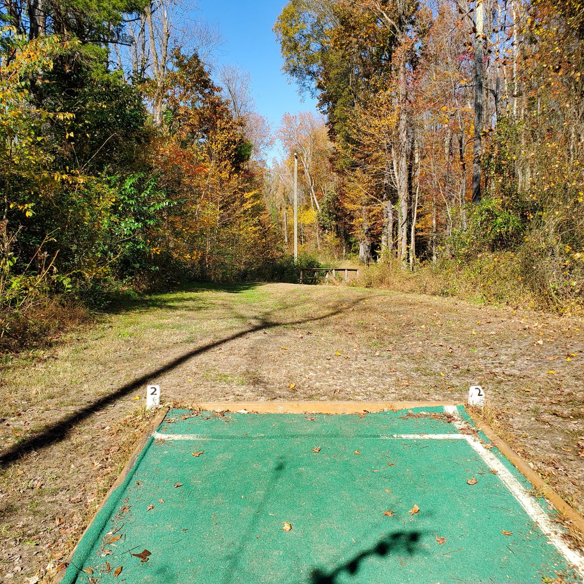 Looking out to 2nd fairway, basket is to the right in the trees. Nov 9, 2020.