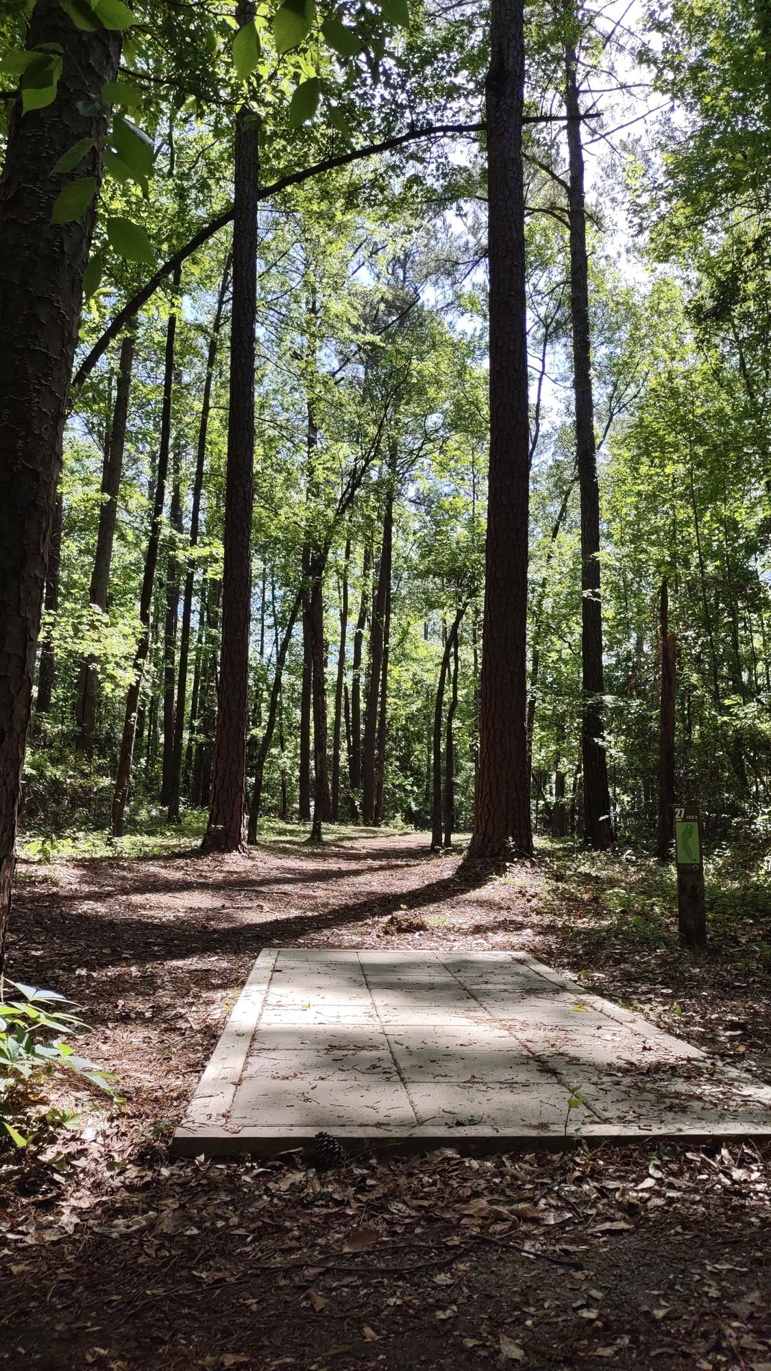 Hole 27