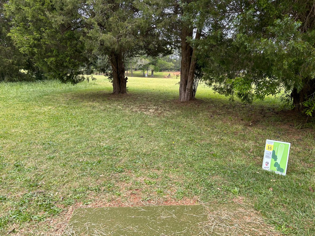Hole 16 from tee