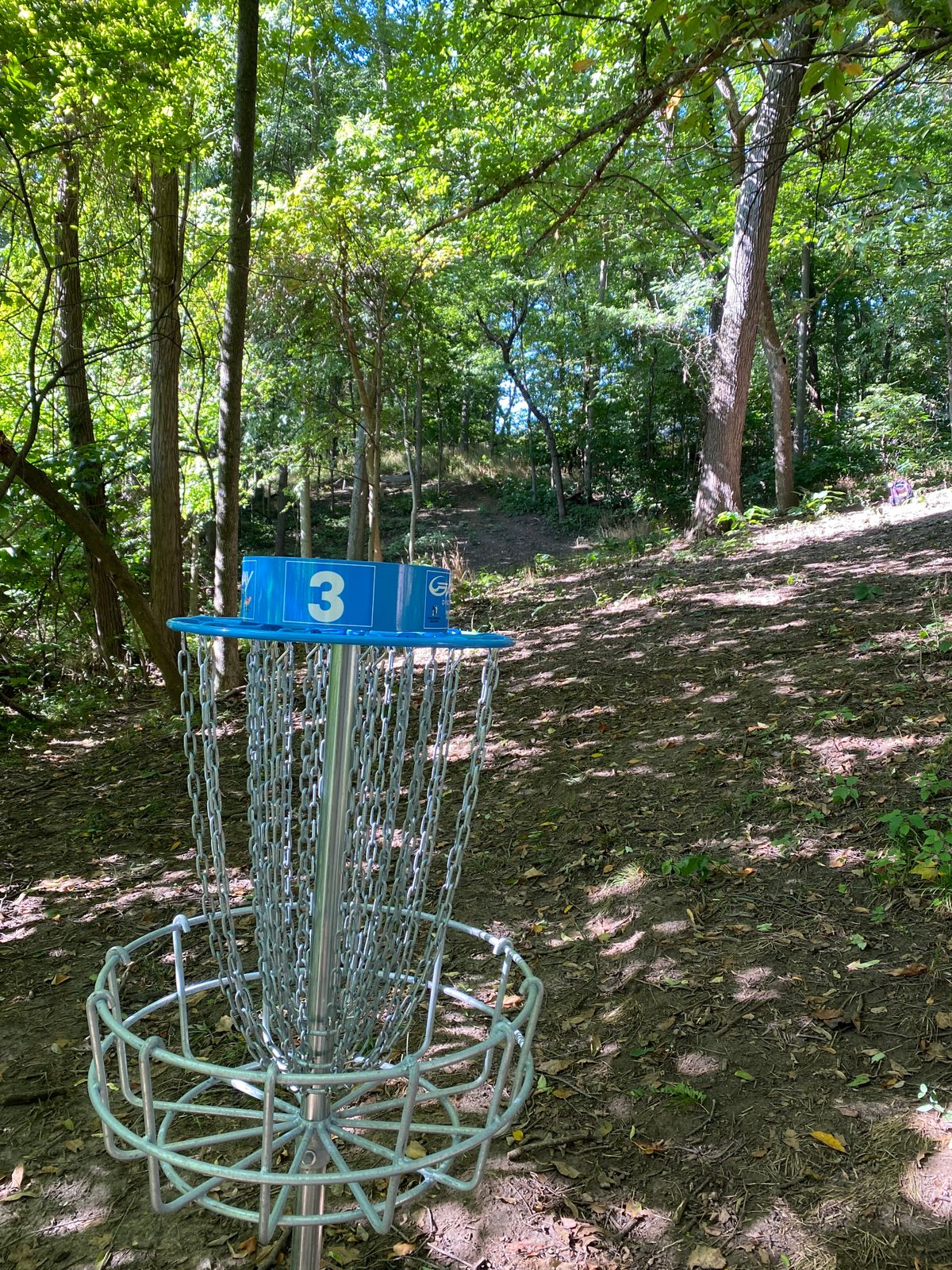 Hole 3 towards tee.