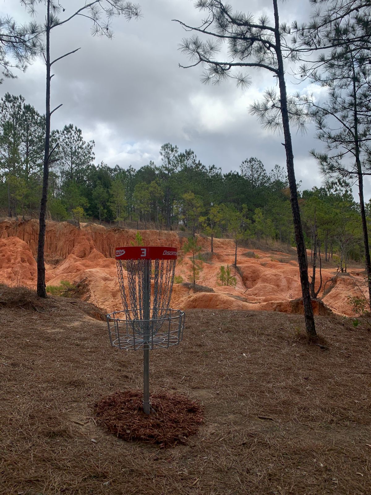 Hole 3s green