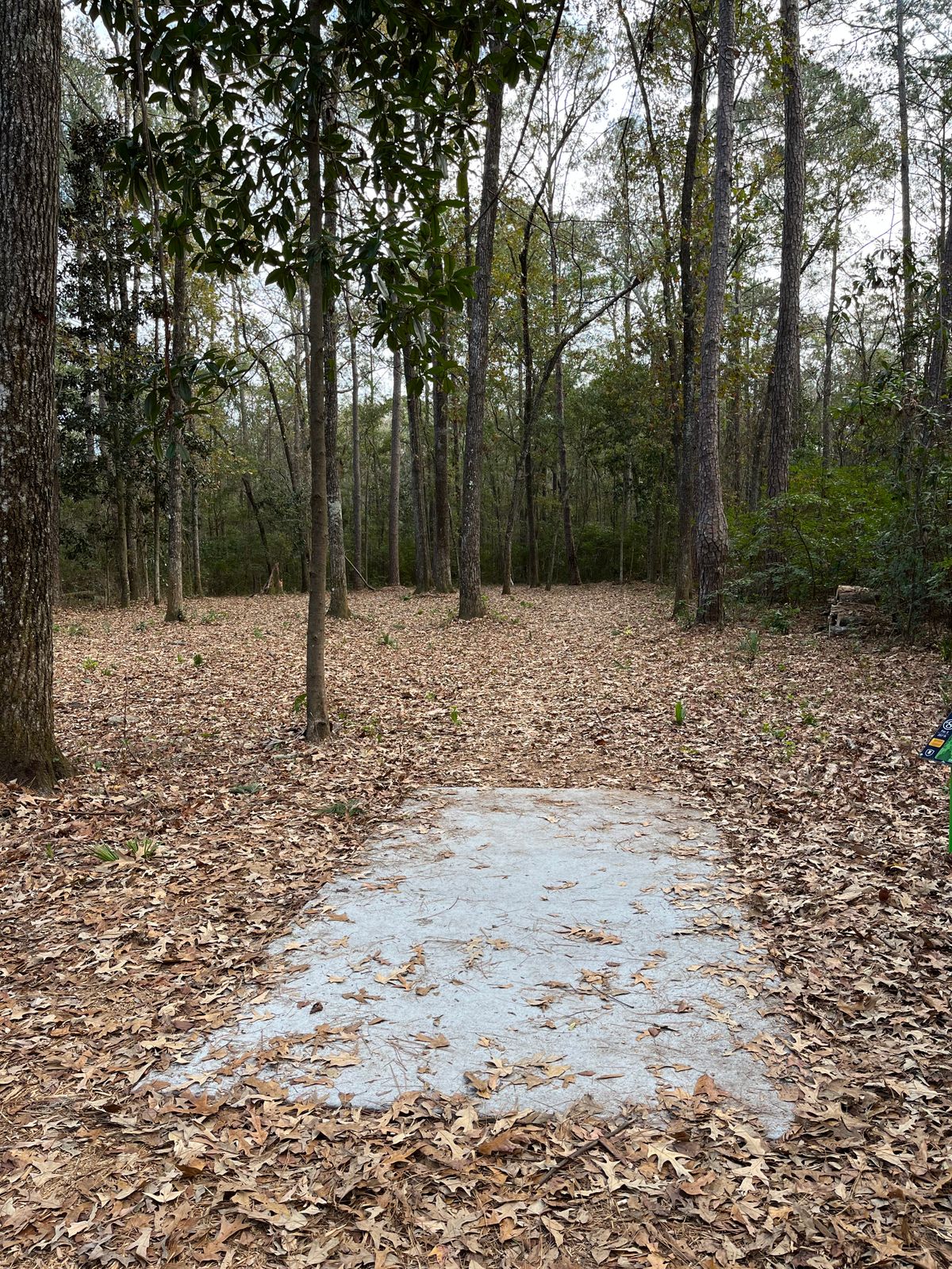 Hole 8 (short)