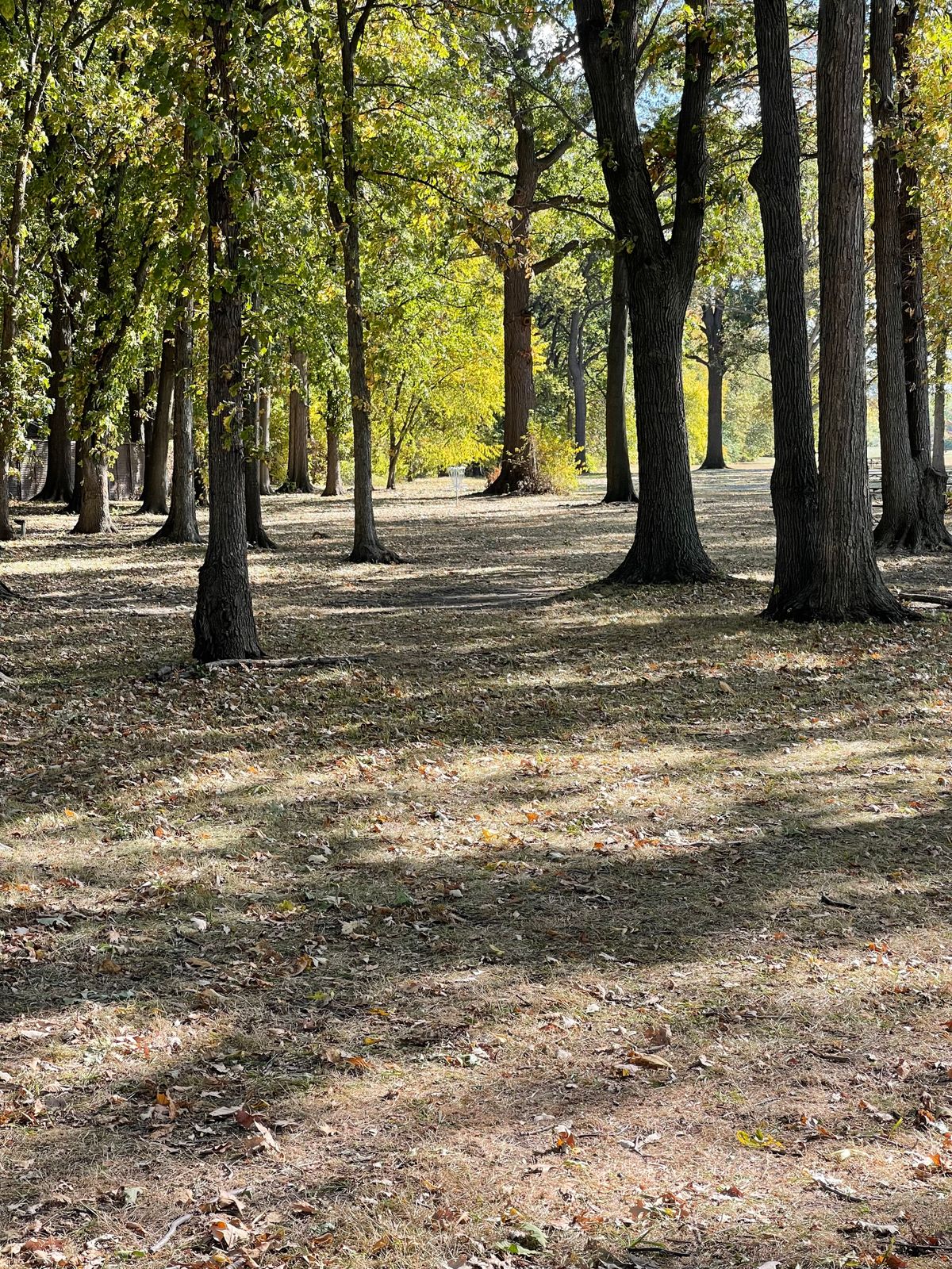 Some line shots on this course.