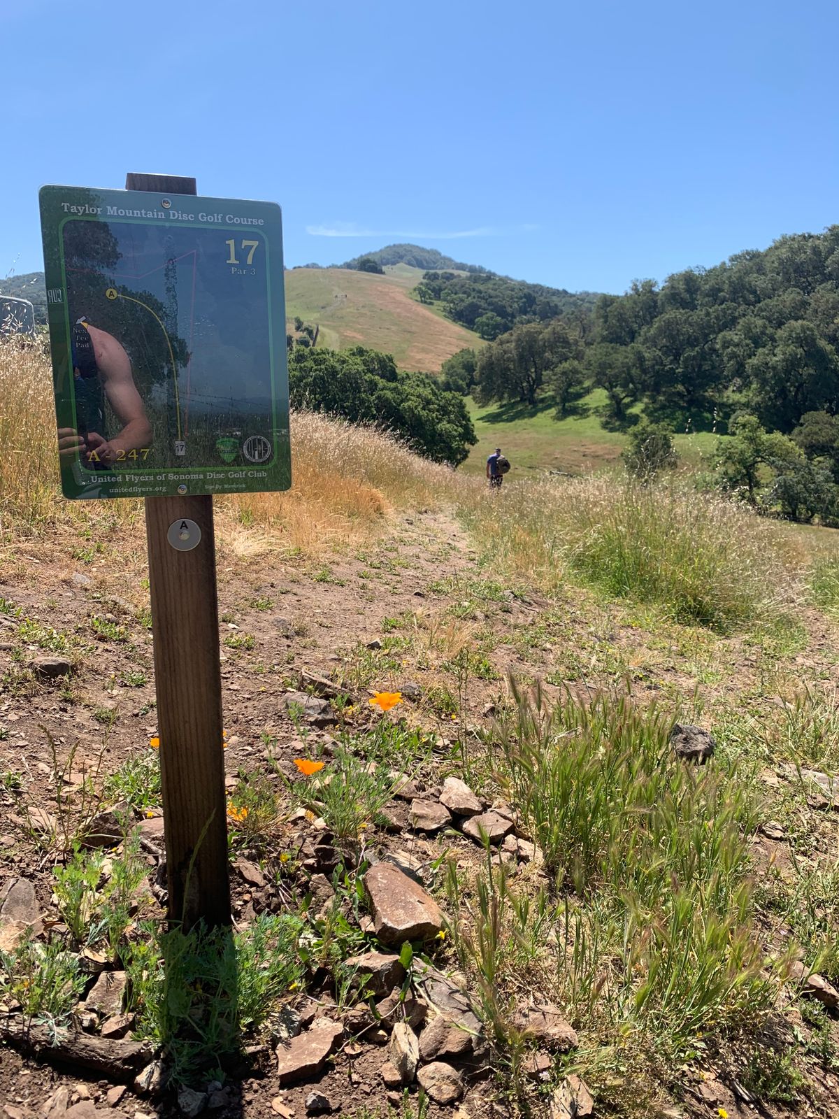 Hole 17