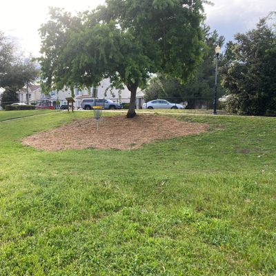 Hole #9 basket