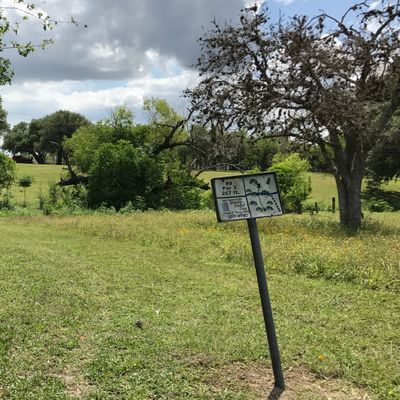 Hole 9