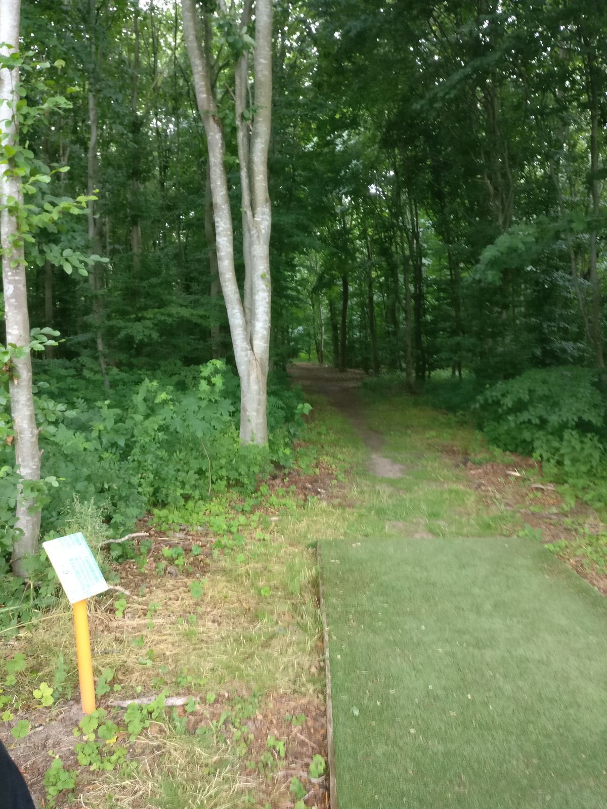Hole 14