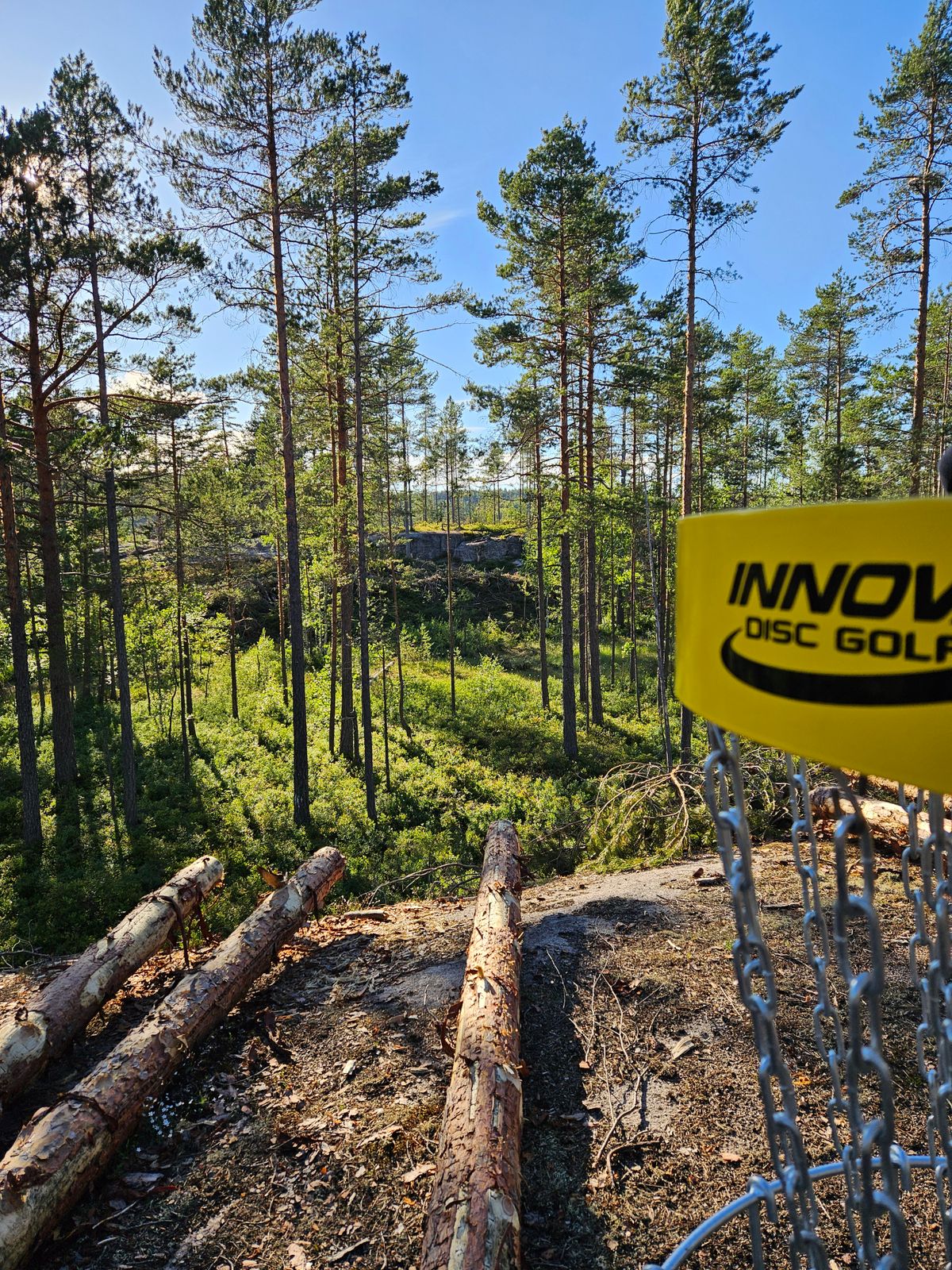 Kurv med fairway i bakgrunn - hull 14