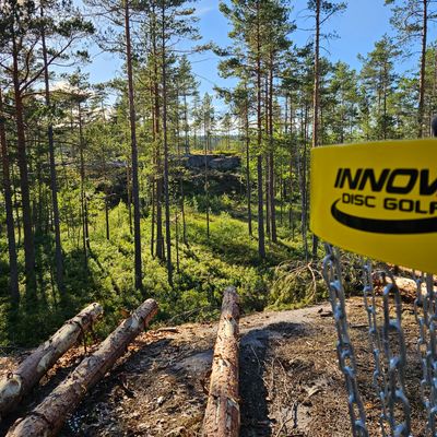 Kurv med fairway i bakgrunn - hull 14