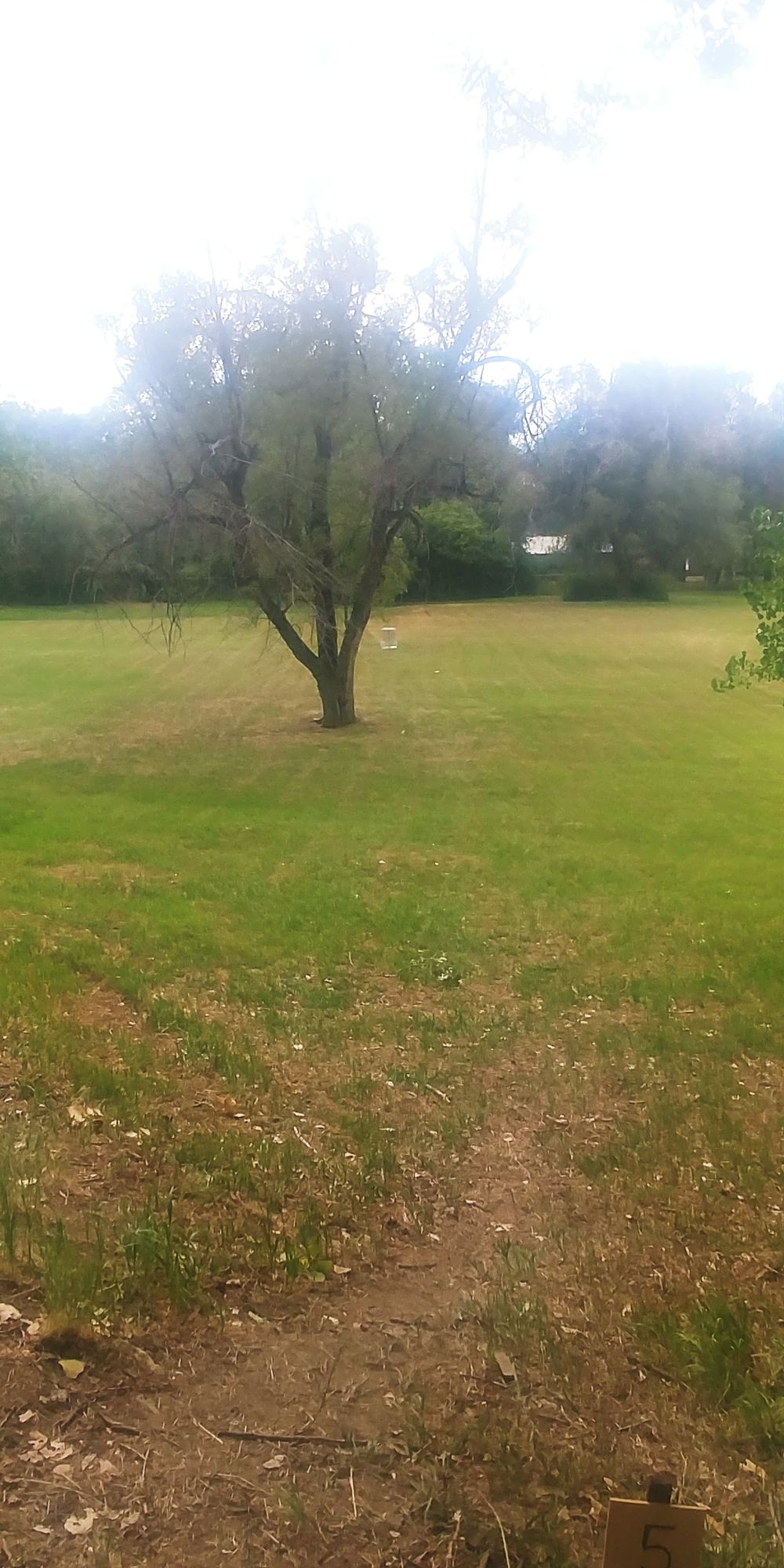 Hole# 5