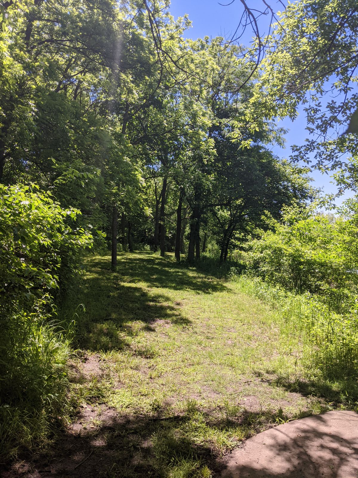 Tee 15