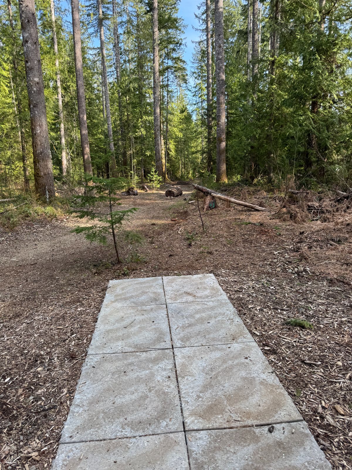 Teepad of Hole 11, up on a mound.