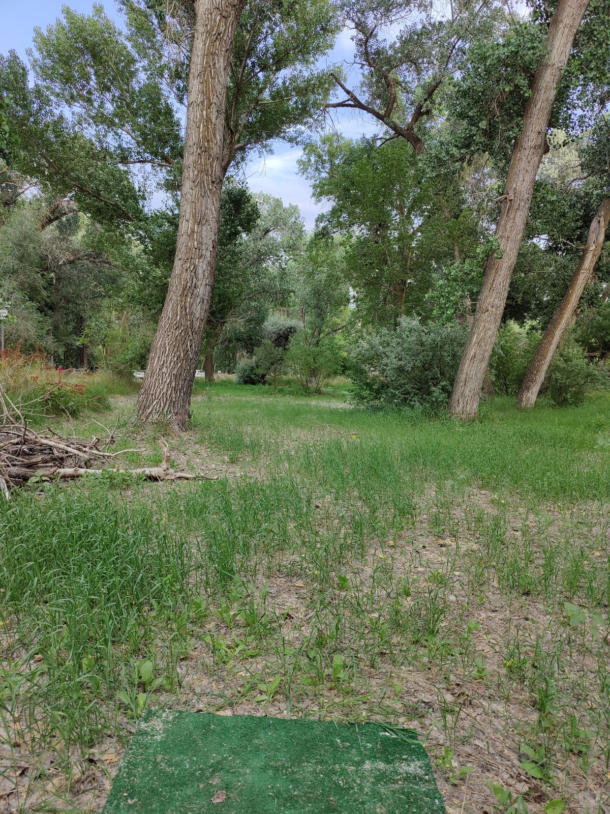 Teepad of new hole #3