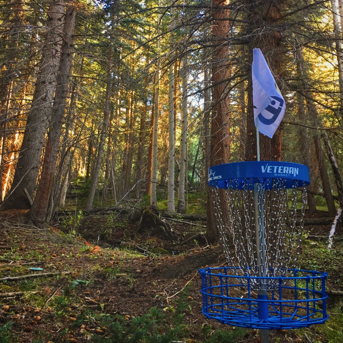Hole 15 basket