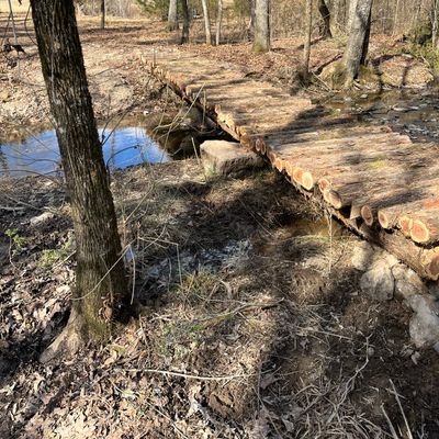 Hole 6 bridge