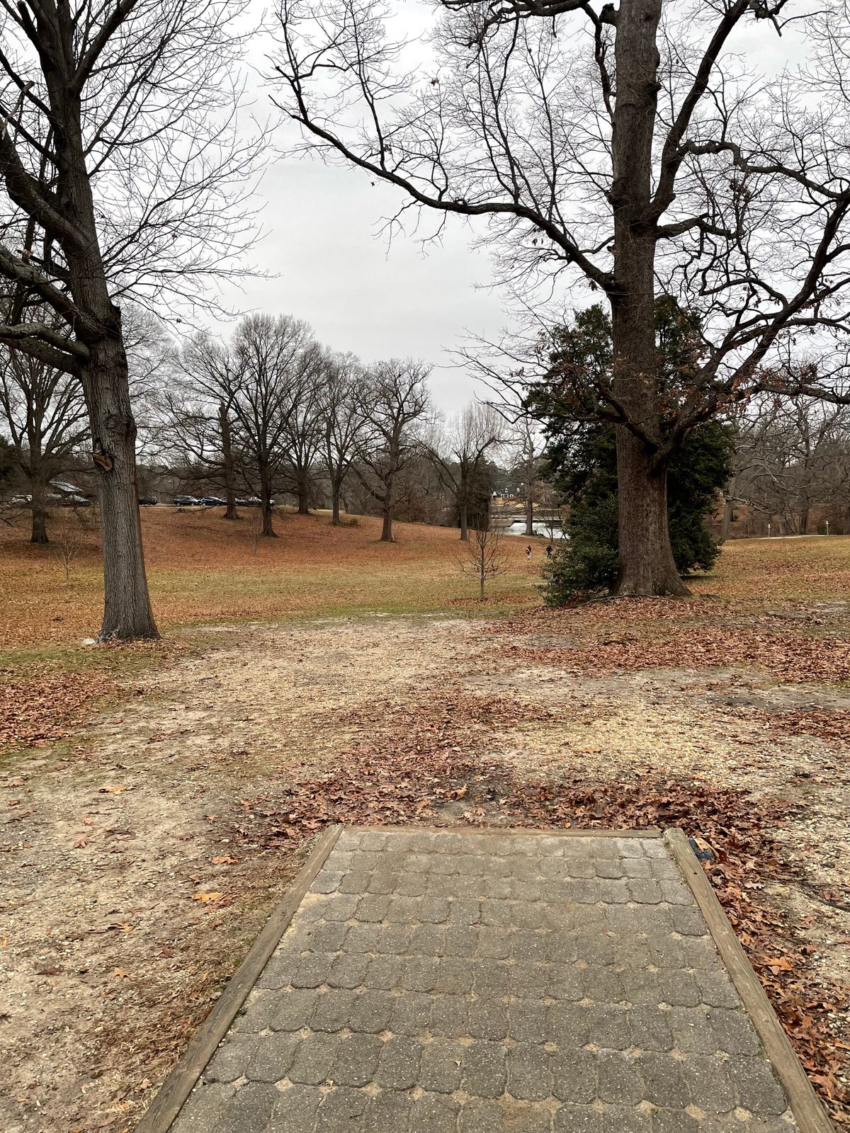 Fairway 9
January 1, 2024