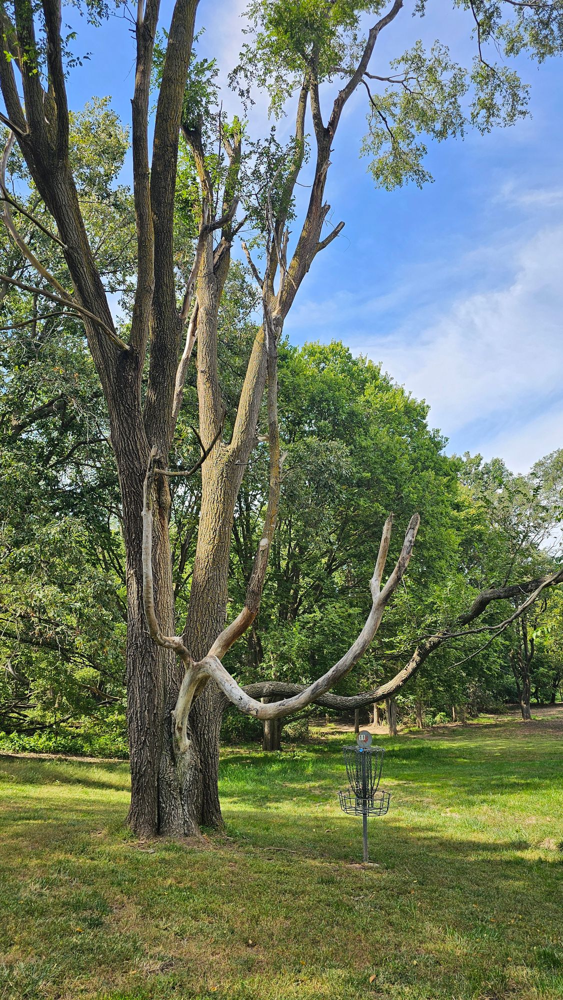 #15: The Mastodon