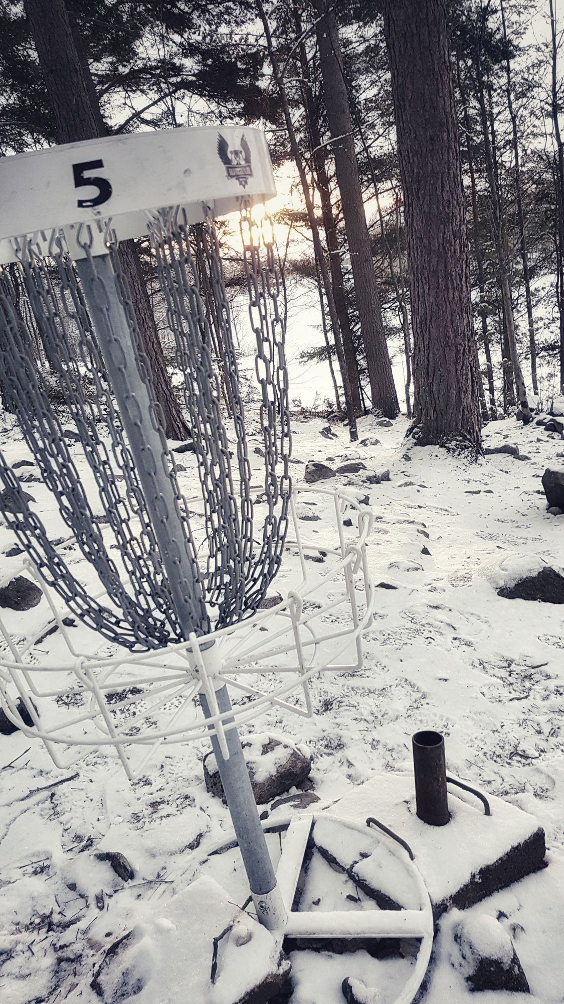 Falun myggfritt!
