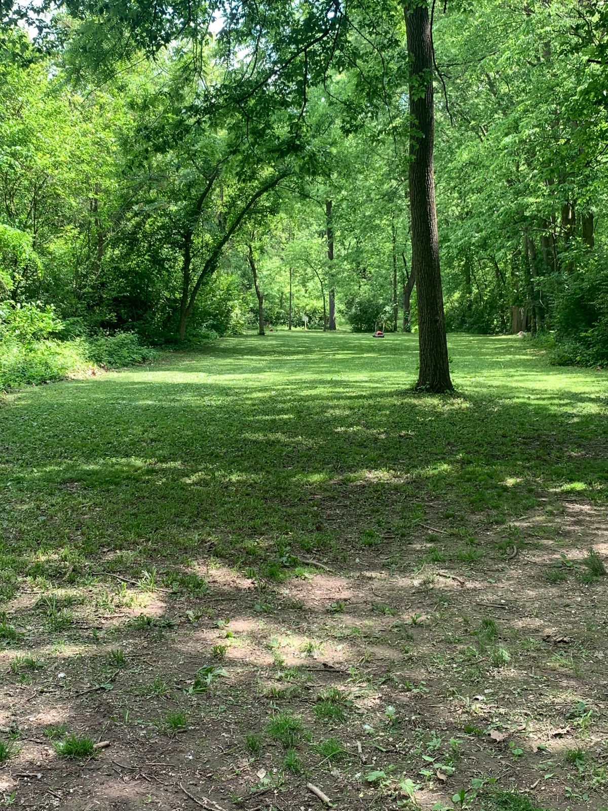 Between red and blue pads of hole 8