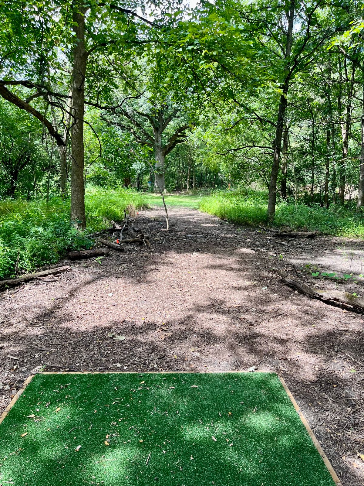 Hole 8