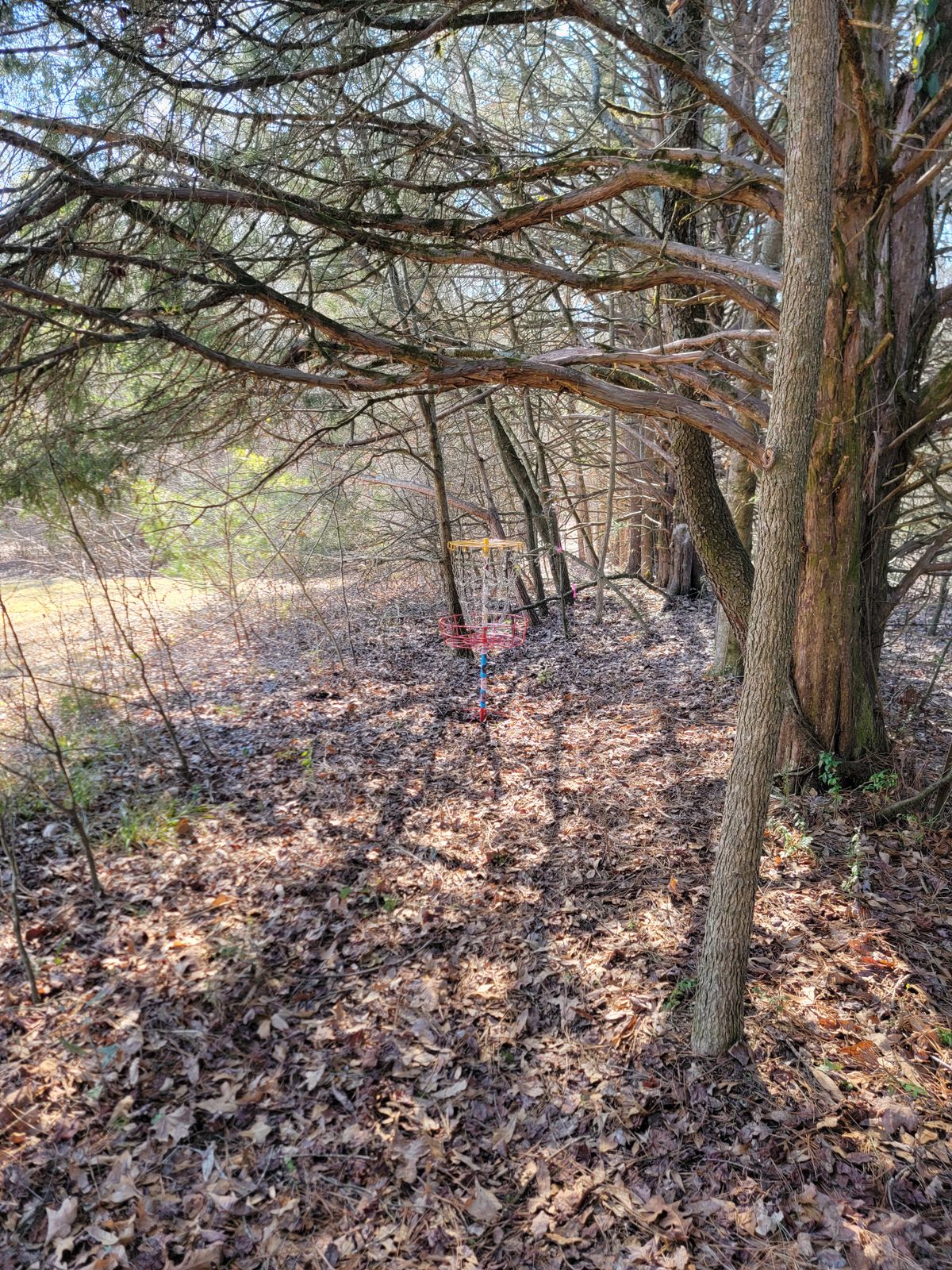 Hole 13 basket