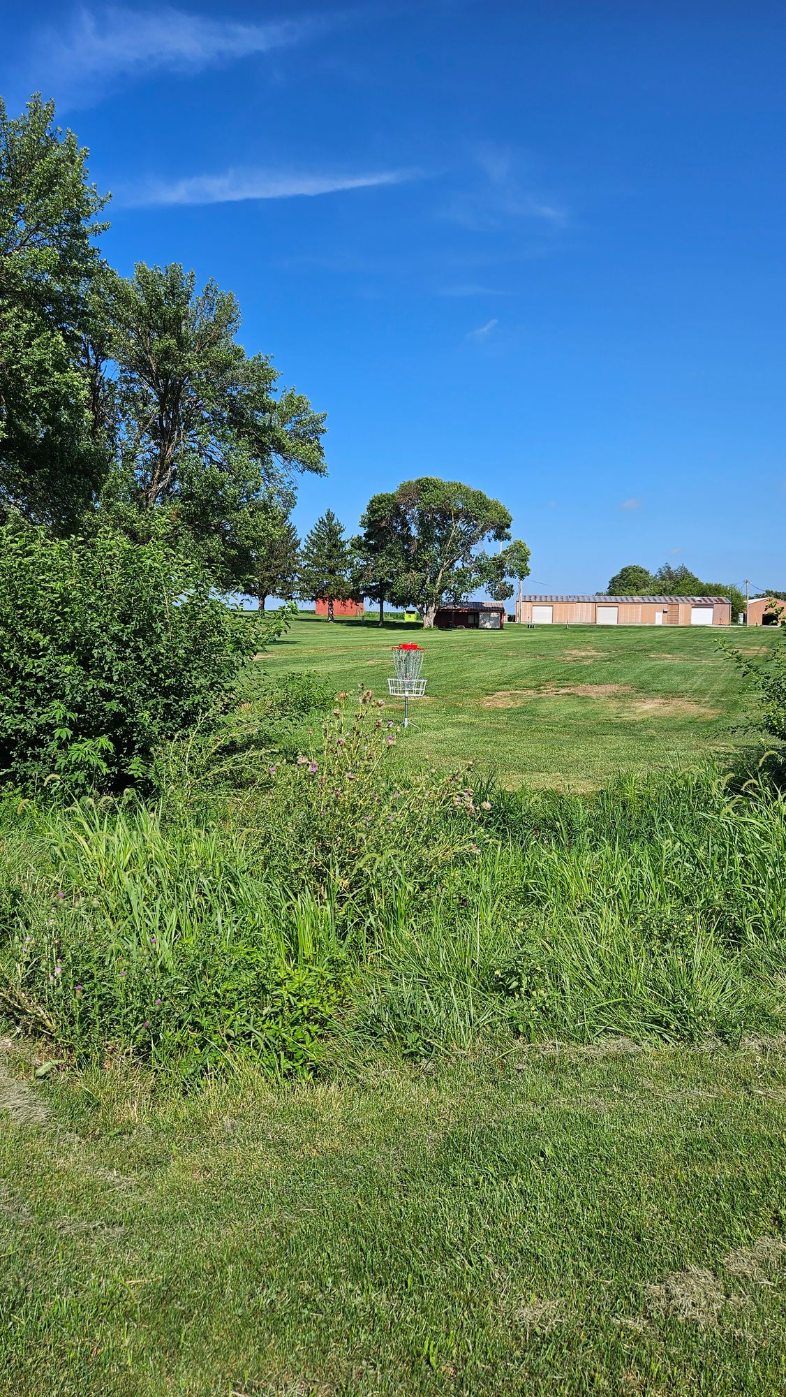 Hole 9 Basket