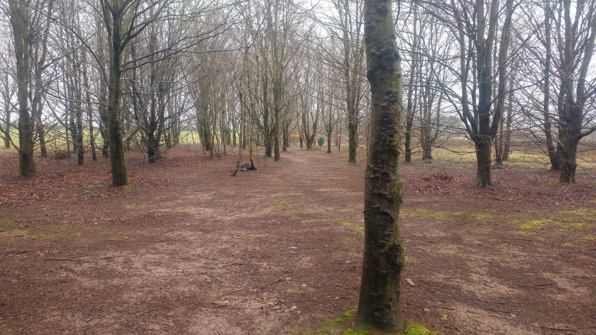 Green of Hole 8 Red/9 Blue