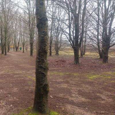 Green of Hole 8 Red/9 Blue