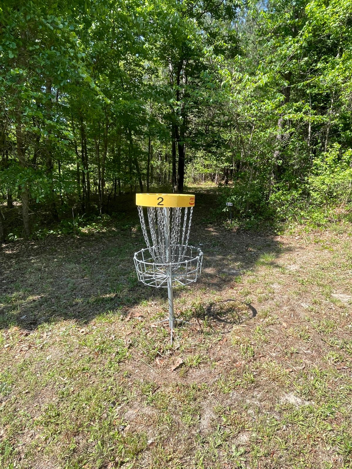Hole 2 basket, follow the path into the woods for hole 3 tee pad