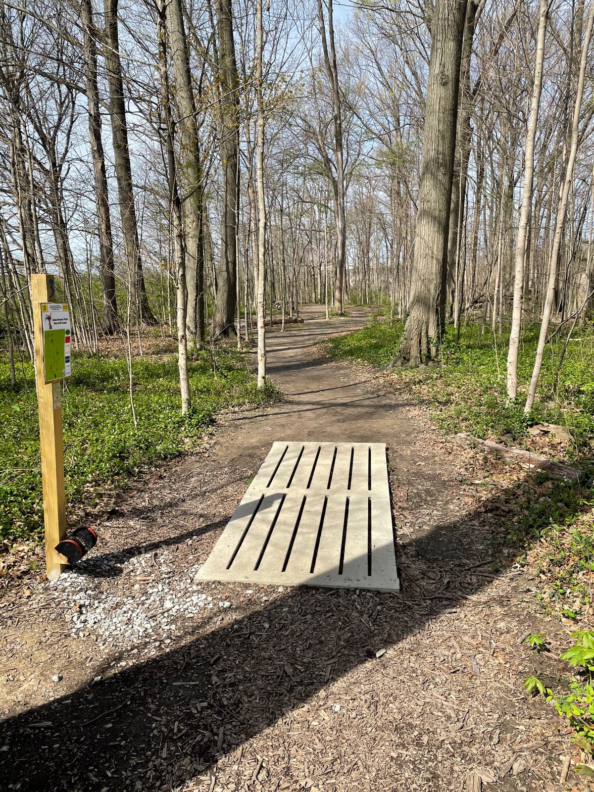 Hole 3