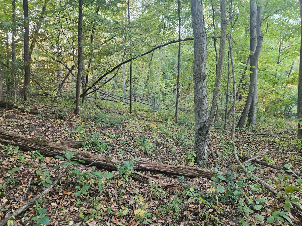 Hole 1 basket