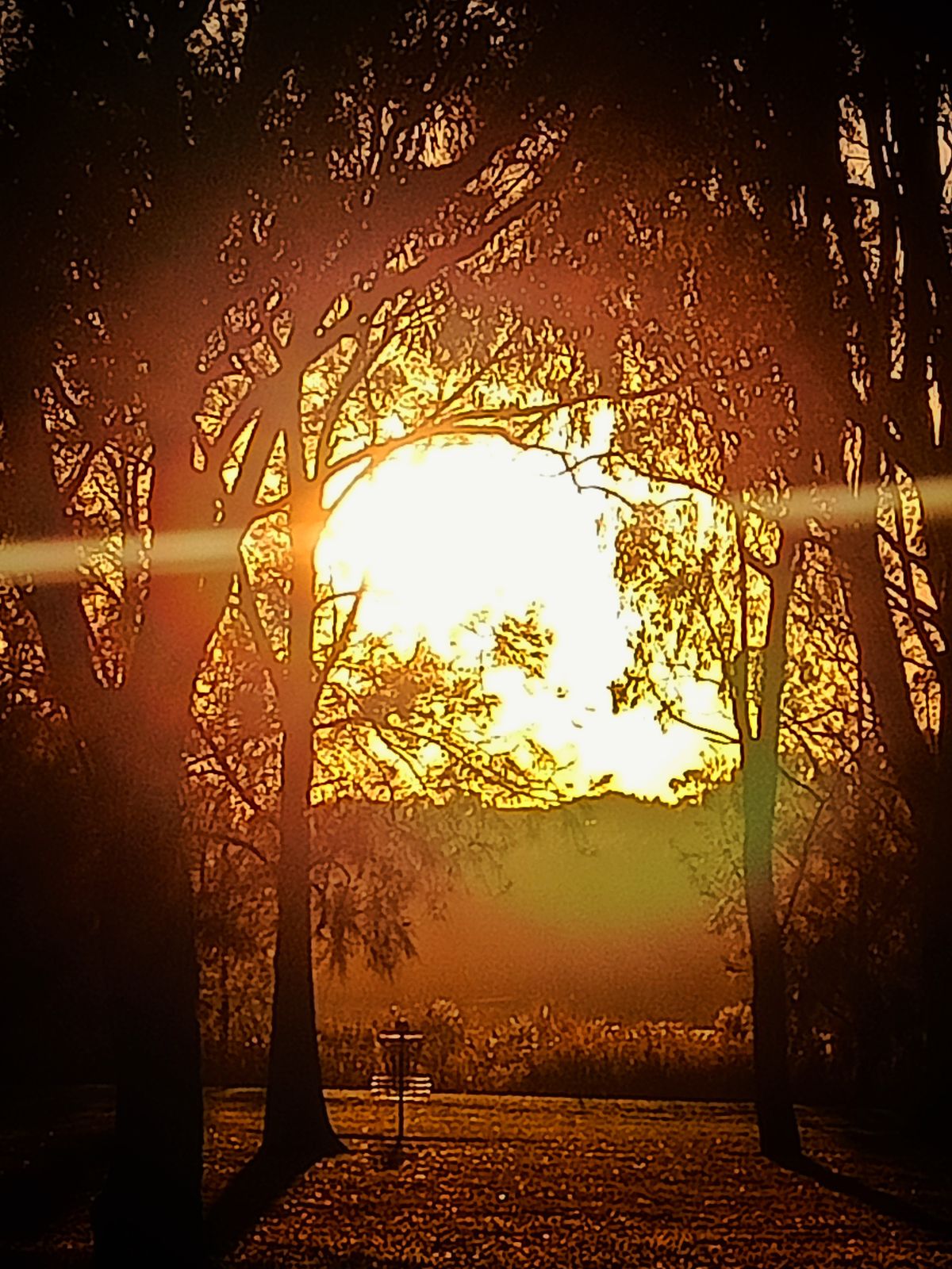 Practice tee at sunrise in summer
