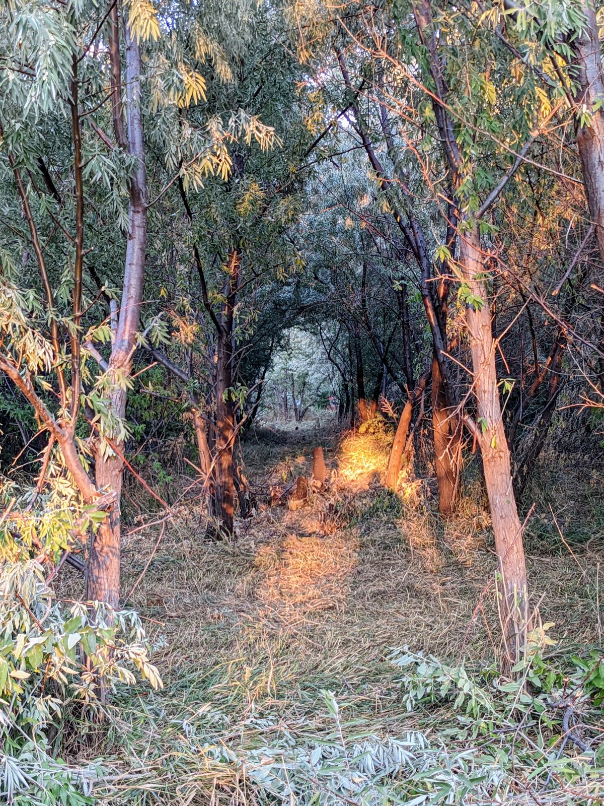 Hole 8