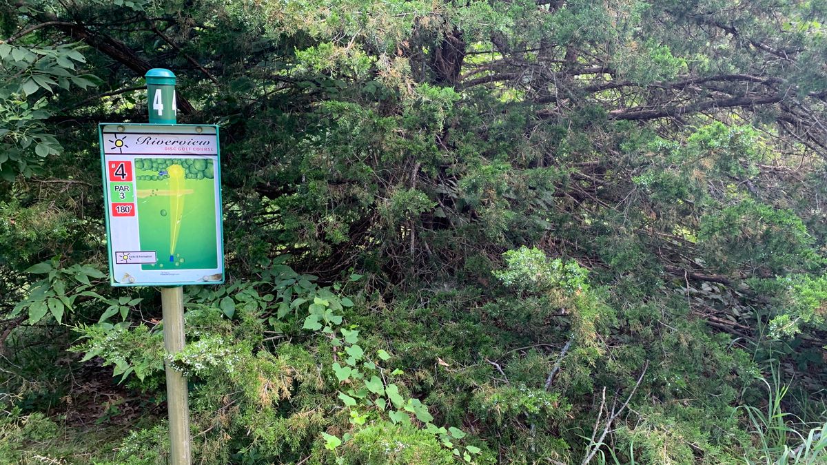 Hole 4