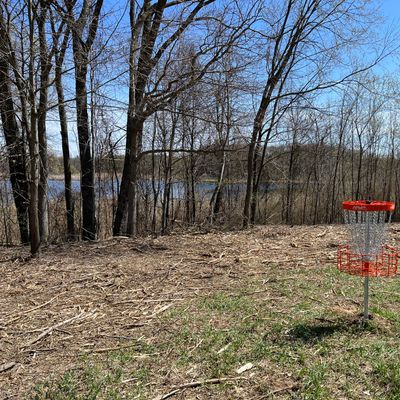 Hole 10 Basket