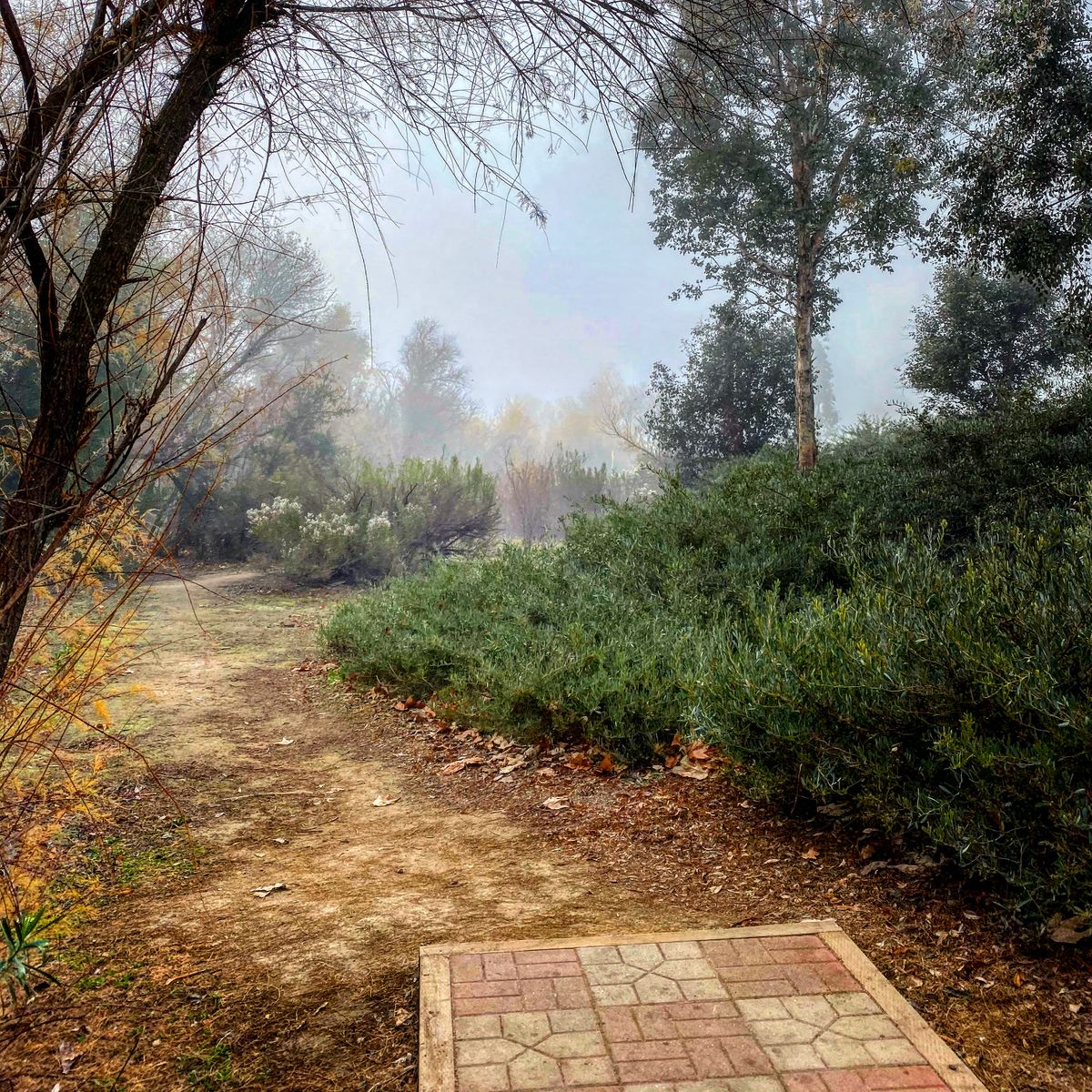 Hole 9