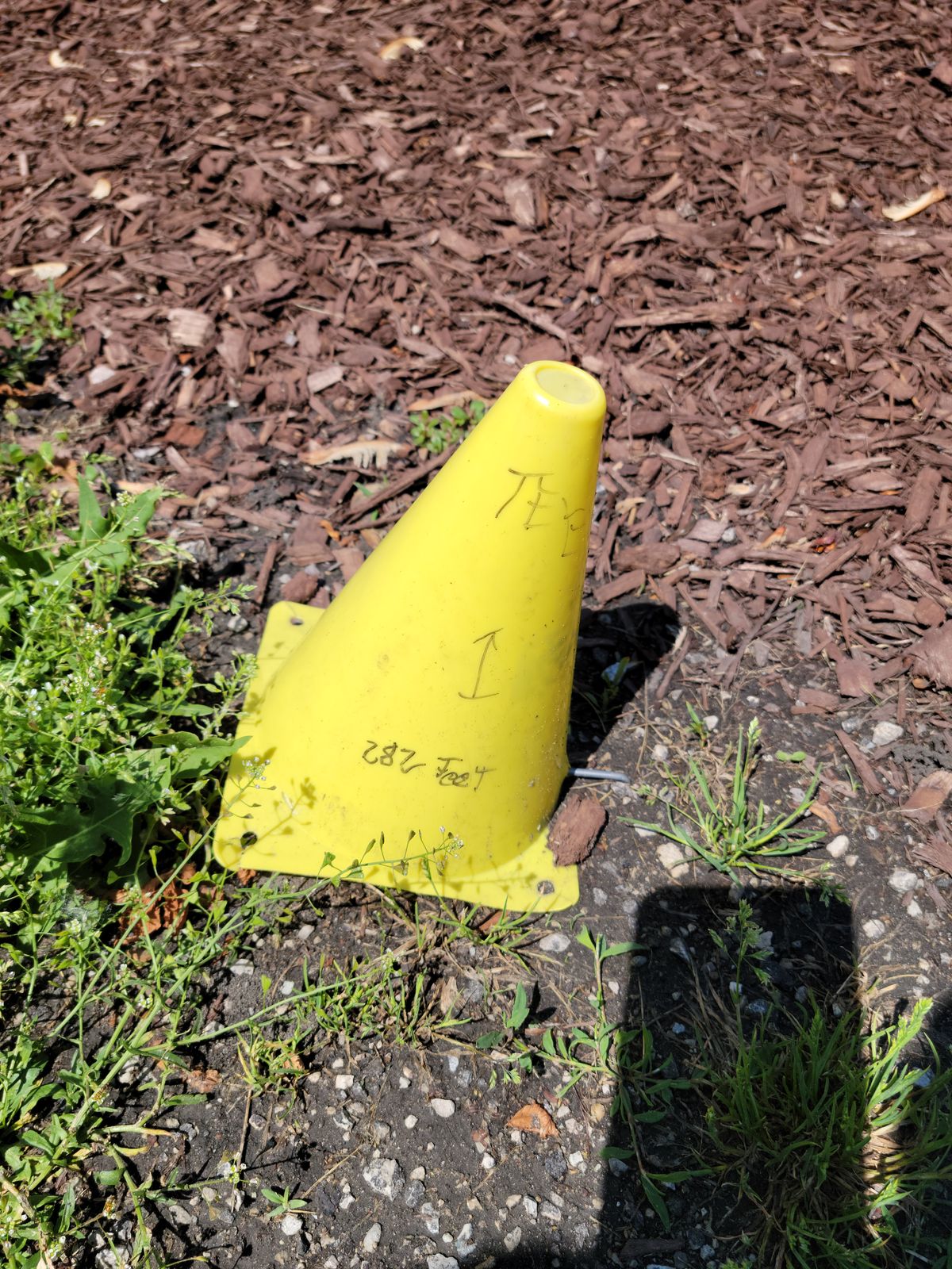 Tee marker