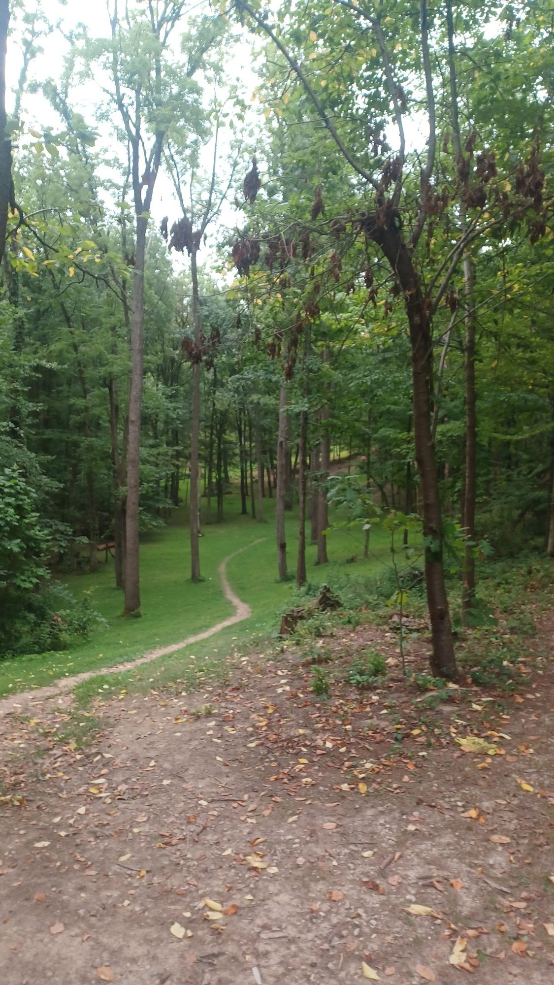 One of the most beautiful fairways in ohio