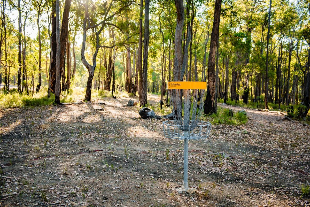 Hole 4 Basket