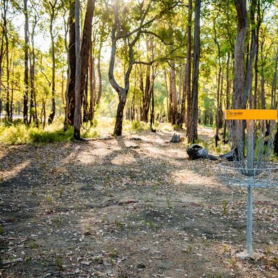 Hole 4 Basket