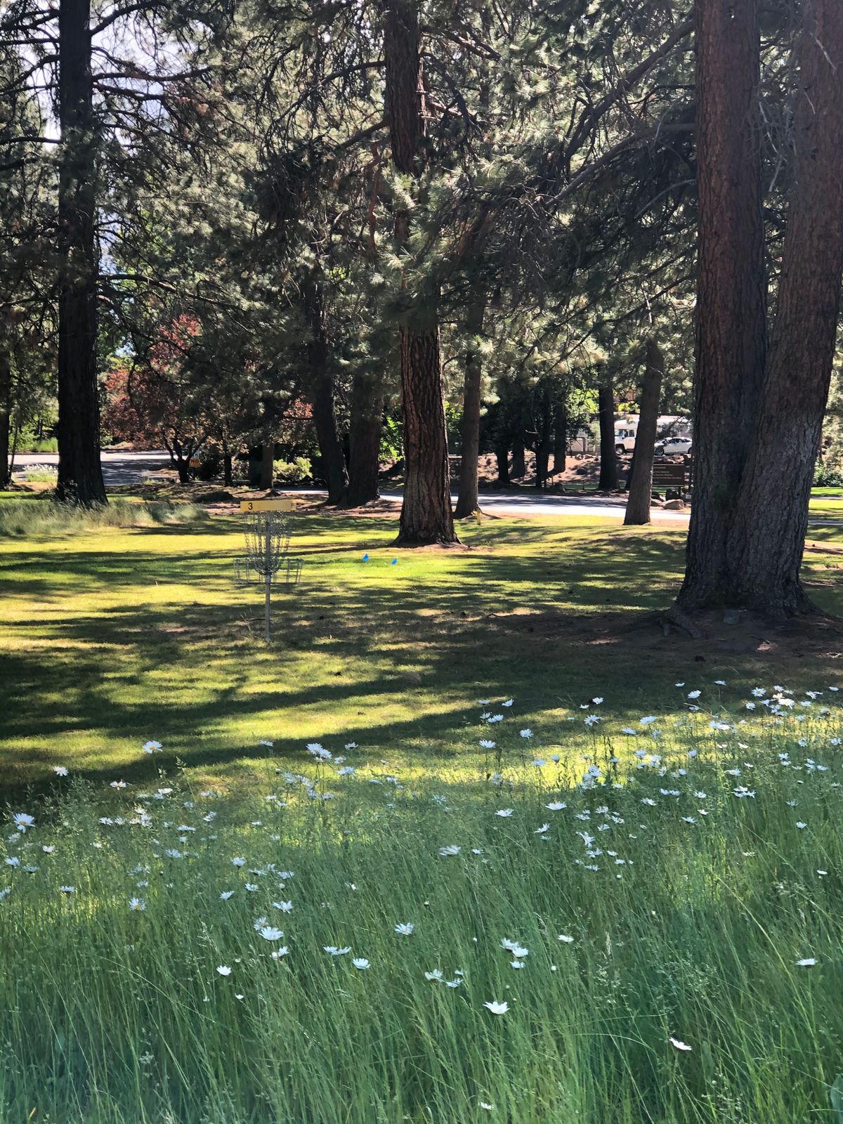 Manicured fairways between trees highlight this short but interesting course. Great for beginners.