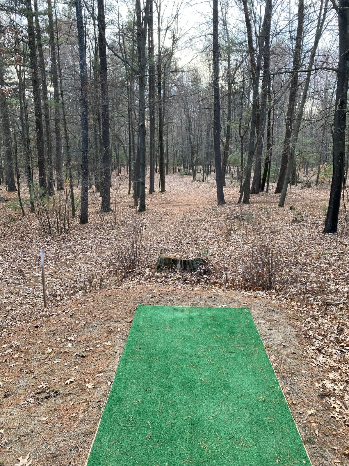 Hole 3