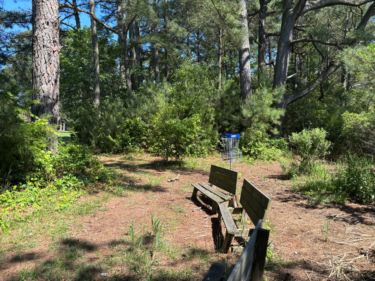 Hole 3 basket