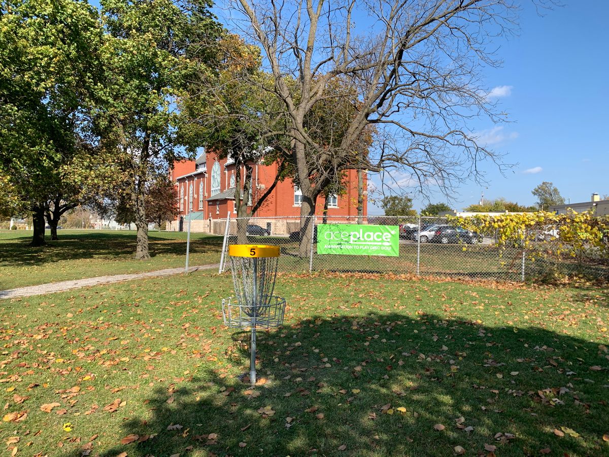 Hole 5 basket.