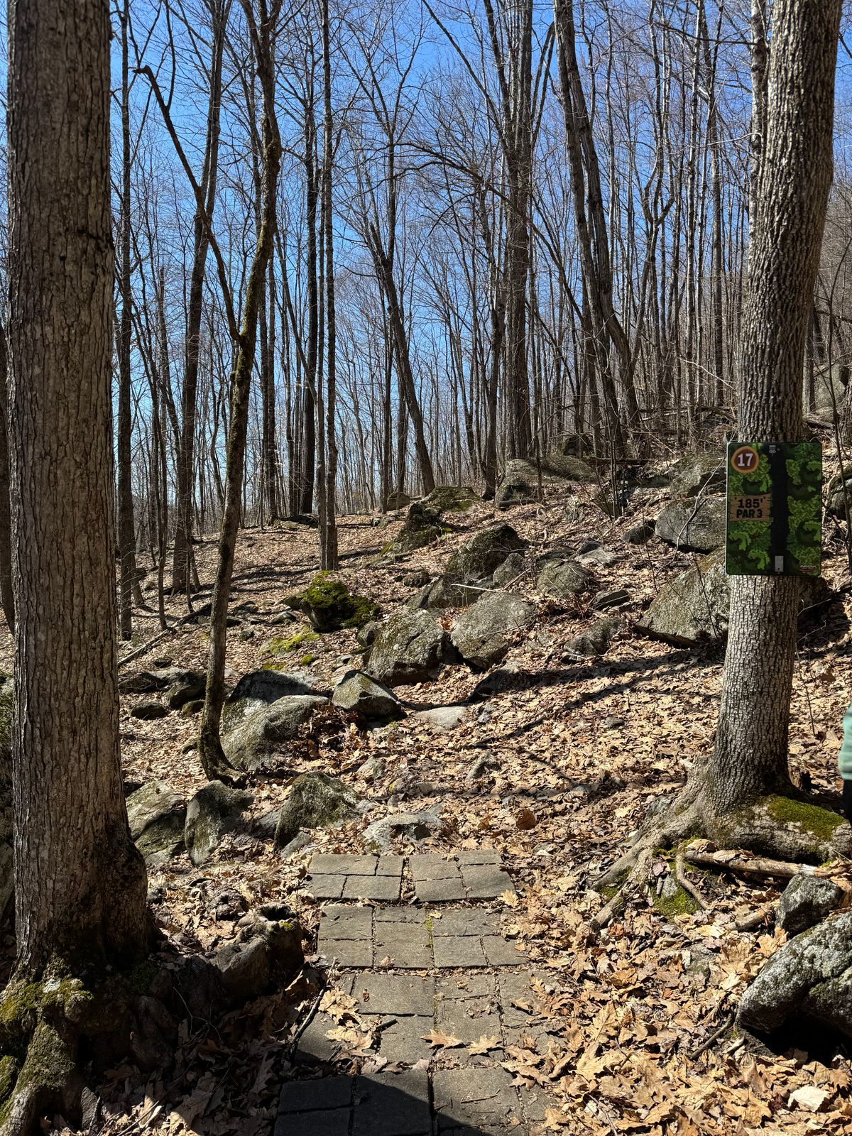 Hole 17