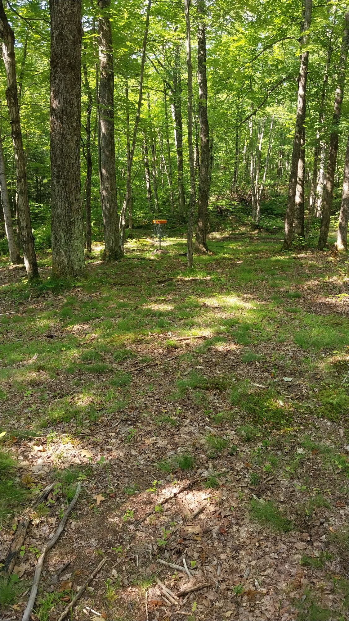 Hole 6 long