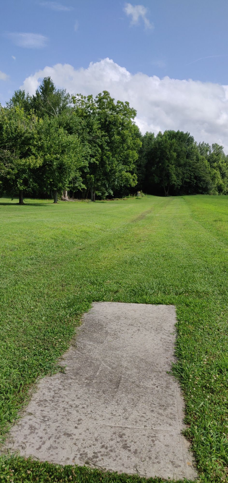 Hole 8 Tee