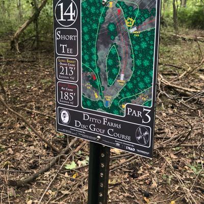 Map for Short Tee 14